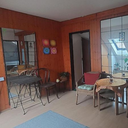 Brno - Apartman V Bohemske Ctvrti Kamenka Екстер'єр фото
