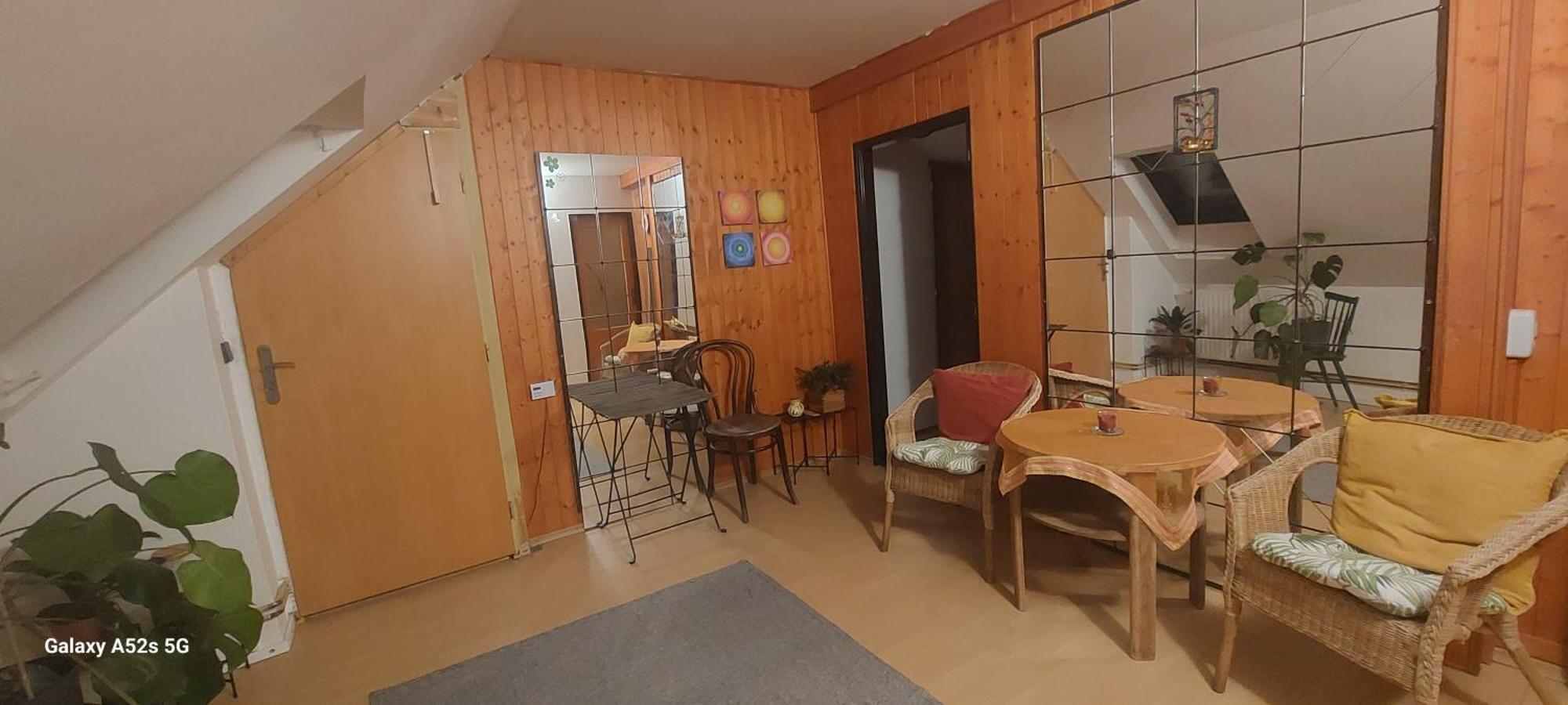 Brno - Apartman V Bohemske Ctvrti Kamenka Екстер'єр фото