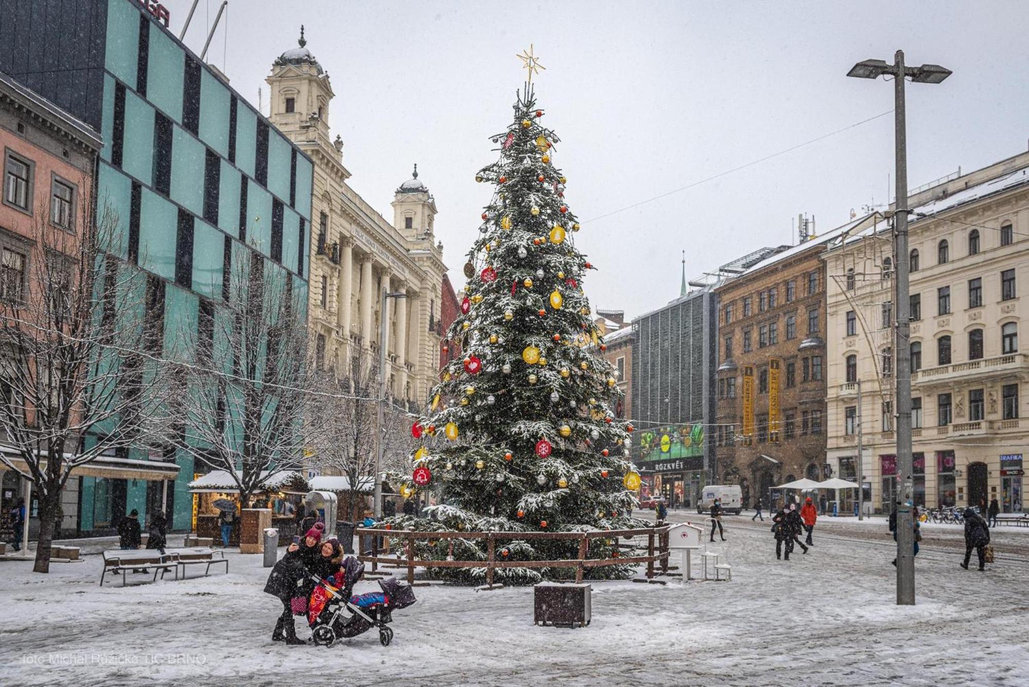 Brno - Apartman V Bohemske Ctvrti Kamenka Екстер'єр фото